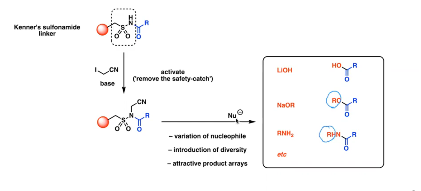 <p>A linker which allows diversity to be introduced during the cleavage reaction.       </p>