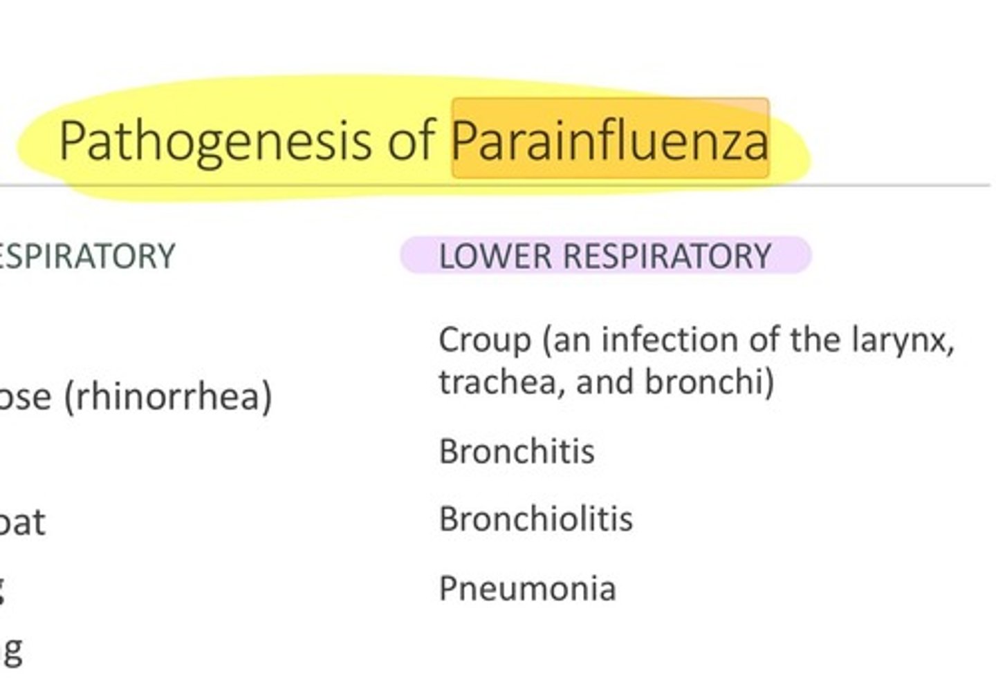 <p>Parainfluenza</p>