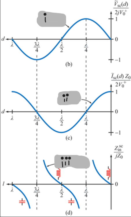<p>(iii)</p>