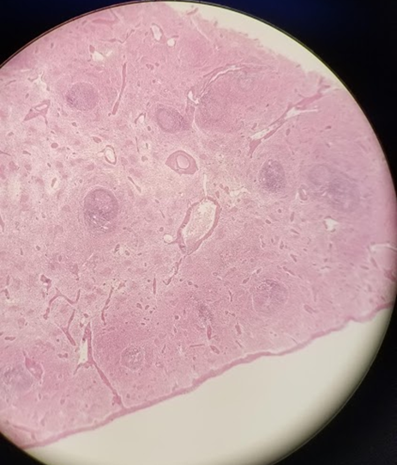 <p>what is this a sample of?</p>