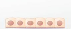 <p>Cube shaped like dice</p>