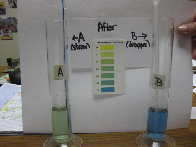 <p>Identify?</p><p>Lab Image 5-15</p>