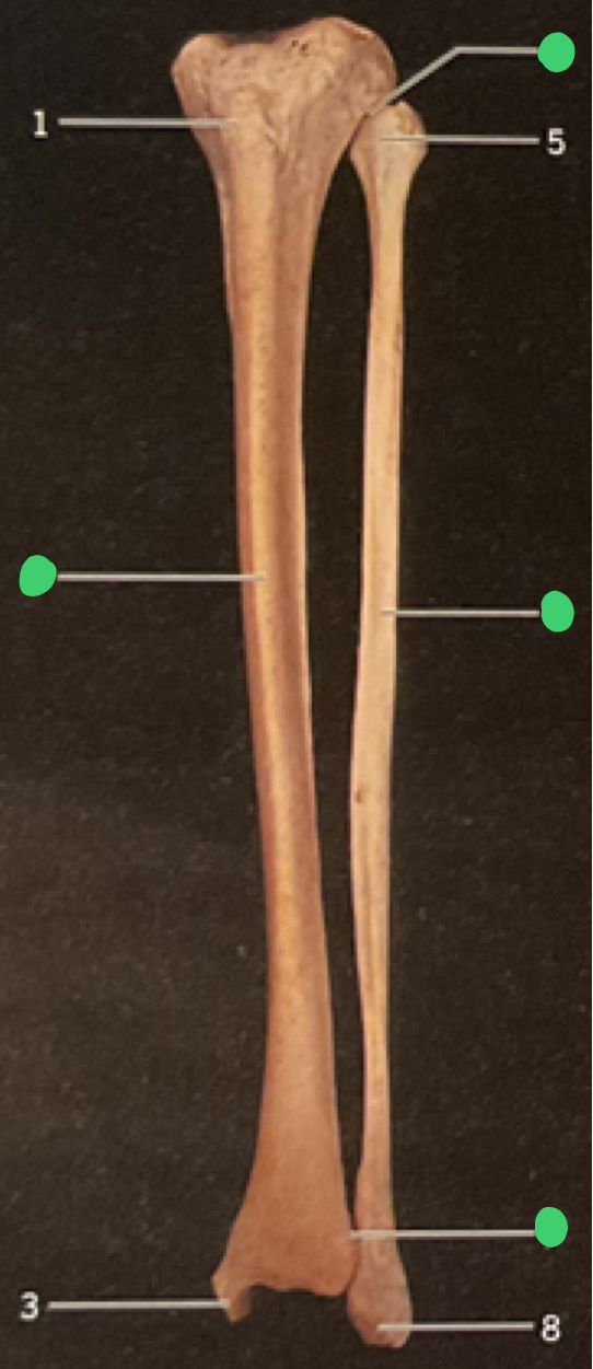 <p>1</p>