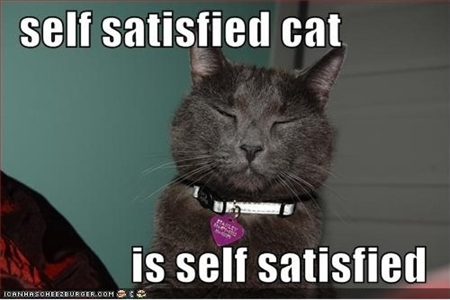 <p>self-satisfied</p>