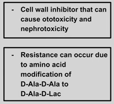 <p>red, itchy flushed skin after fast infusion of this med<br>inhibits cell wall synthesis<br>Elevated Cr</p>