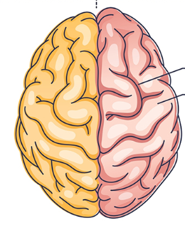 <p>What is this picture showing?</p>