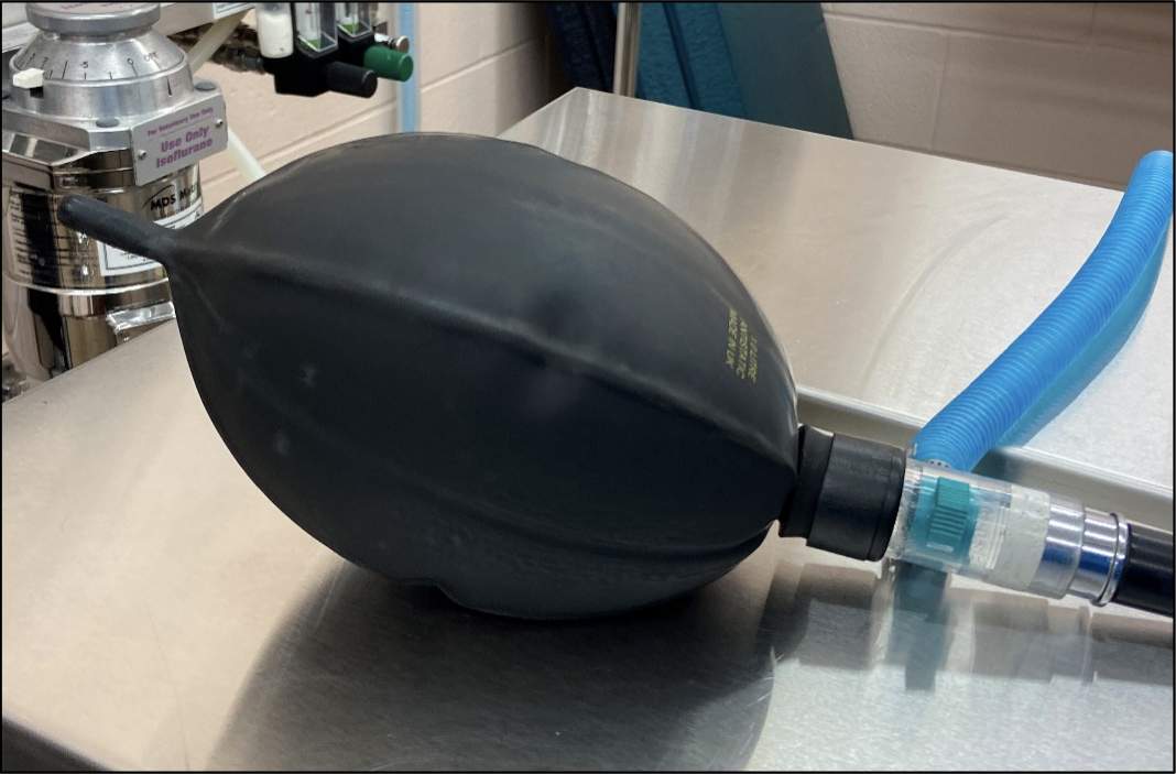 <p>what do you do if non-rebreathing bag looks like this </p>