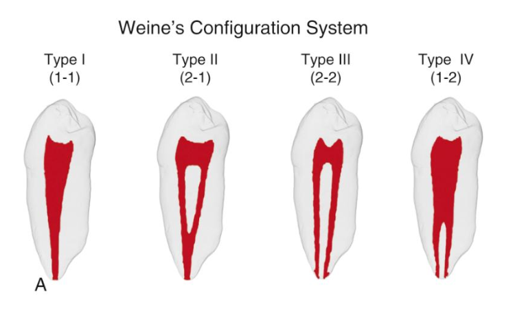 <p>Weine’s classification has how many configurations?</p>