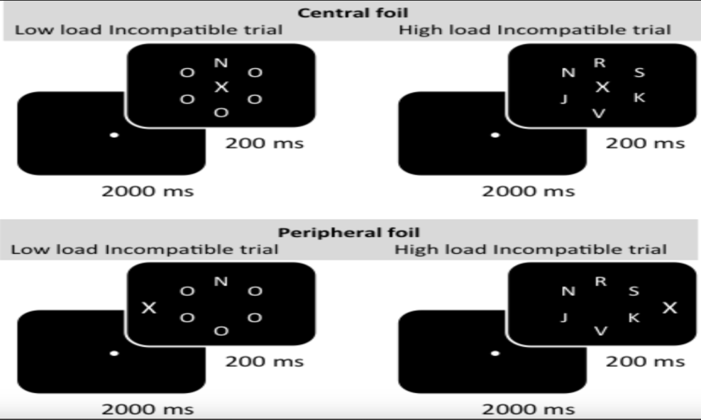 <ul><li><p class="Paragraph SCXW71019817 BCX0" style="text-align: left;"><span style="line-height: 22.0875px;"><strong>Central foil interferes more with performance than peripheral foils.</strong>&nbsp;</span></p></li></ul><ul><li><p class="Paragraph SCXW71019817 BCX0" style="text-align: left;"><span style="line-height: 22.0875px;"><strong>Flanker effect central foils > flanker effect for peripheral foils.&nbsp;&nbsp;</strong>&nbsp;</span></p></li></ul><p class="Paragraph SCXW71019817 BCX0" style="text-align: left;"><span style="line-height: 22.0875px;"><strong>Interference: foil will interfere more with performance under low than high low condition</strong>&nbsp;</span></p><ul><li><p class="Paragraph SCXW71019817 BCX0" style="text-align: left;"><span style="line-height: 22.0875px;"><strong>Flanker effect low road>flanker effect high road.</strong>&nbsp;</span></p></li></ul><ul><li><p class="Paragraph SCXW71019817 BCX0" style="text-align: left;"><span style="line-height: 22.0875px;"><strong>You need to suppress the response for something right in the middle.&nbsp;</strong>&nbsp;</span></p></li></ul><p></p>