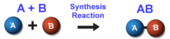 <p>Reactions involve atoms or molecules combining to form larger, more complex molecule</p>