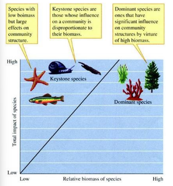<p>Ecological dominants </p>