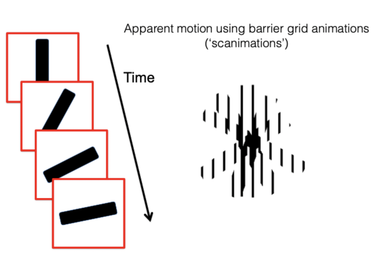 <ul><li><p><span>Barrier grade animations</span></p></li><li><p><span>Horse example, horse, as moved the grid looking like it was running</span></p><ul><li><p><span>When slide over way running over way</span></p></li><li><p><span>When sliding it quicker, running quicker, when slow down the running slows down</span></p></li></ul></li></ul><p> </p><ul><li><p><span>Cover & uncover parts of image to uncover different portions of the image</span></p></li><li><p><span>Brain creating impression of motion from a series of still frames</span></p></li></ul><p></p>
