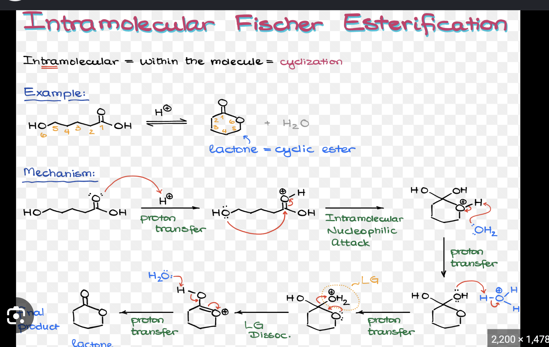 <p>1T) TRICK Fischer Esterification</p>
