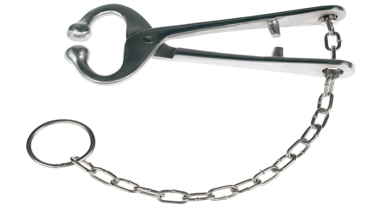 <ul><li><p>Clips into nose and allows more control when a halter is not sufficing</p></li></ul><ul><li><p>Multiple forms of rings, or the more temporary ‘plier’ style from the one on the previous screen</p></li></ul><p></p>