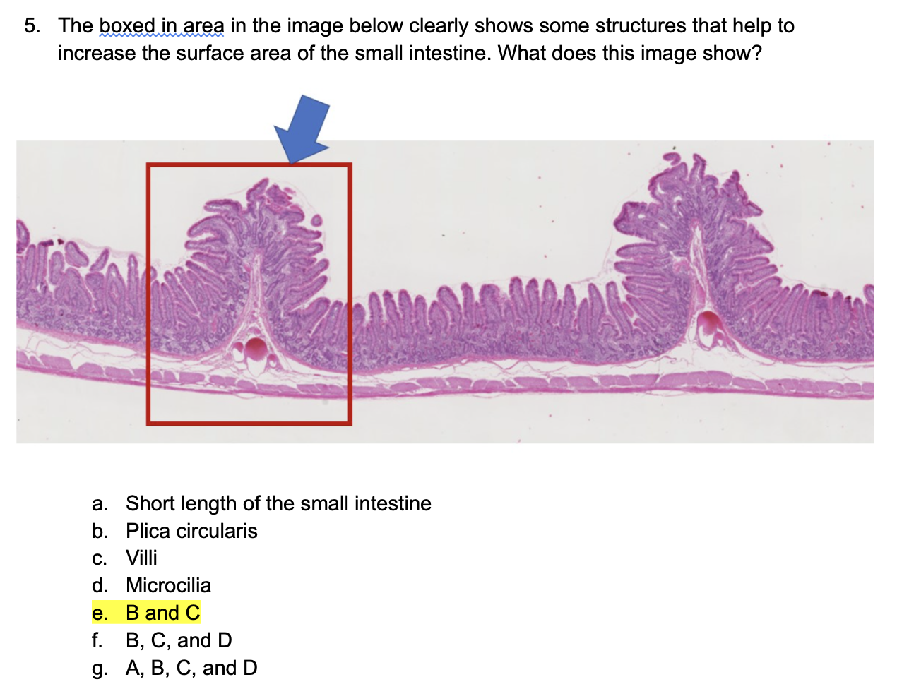 knowt flashcard image