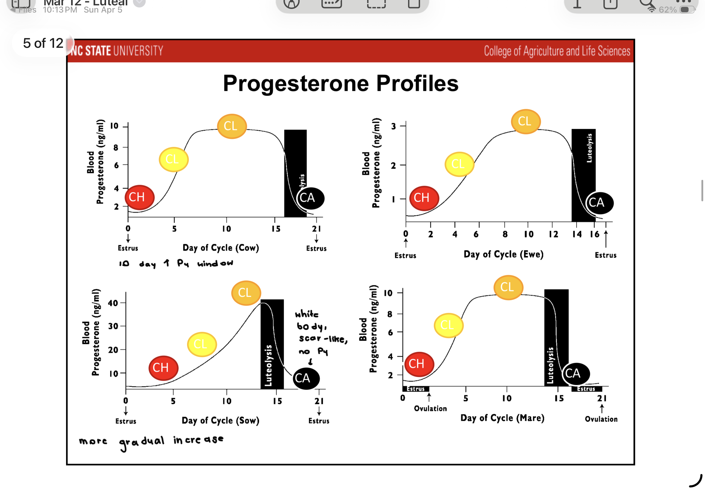 <p>Gradual increase in sow</p>