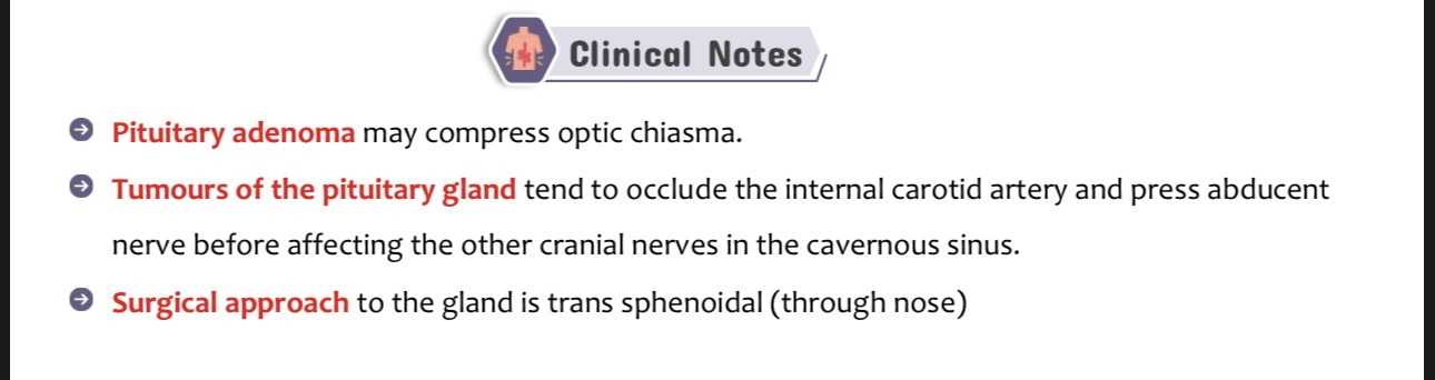 <p>1. <strong>Optic Chiasma Compression:</strong> Pituitary adenomas/tumors grow upwards and compress the optic chiasma, leading to visual field defects (like bitemporal hemianopia).&nbsp;</p><p class="p1">2. <strong>Cavernous Sinus Compression:</strong> Tumors tend to expand laterally, occluding the Internal Carotid Artery and pressing the <strong>Abducent nerve (CN VI)</strong> before affecting any other cranial nerves inside the cavernous sinus.&nbsp;</p><p class="p1">3. <strong>Surgical Approach:</strong> Due to its inferior relation to the sphenoid air sinus, the preferred surgical approach for removing pituitary tumors is <strong>trans-sphenoidal</strong> (performed through the nose).&nbsp;</p>