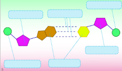 <p>name and identify the three nucleotide bases</p>