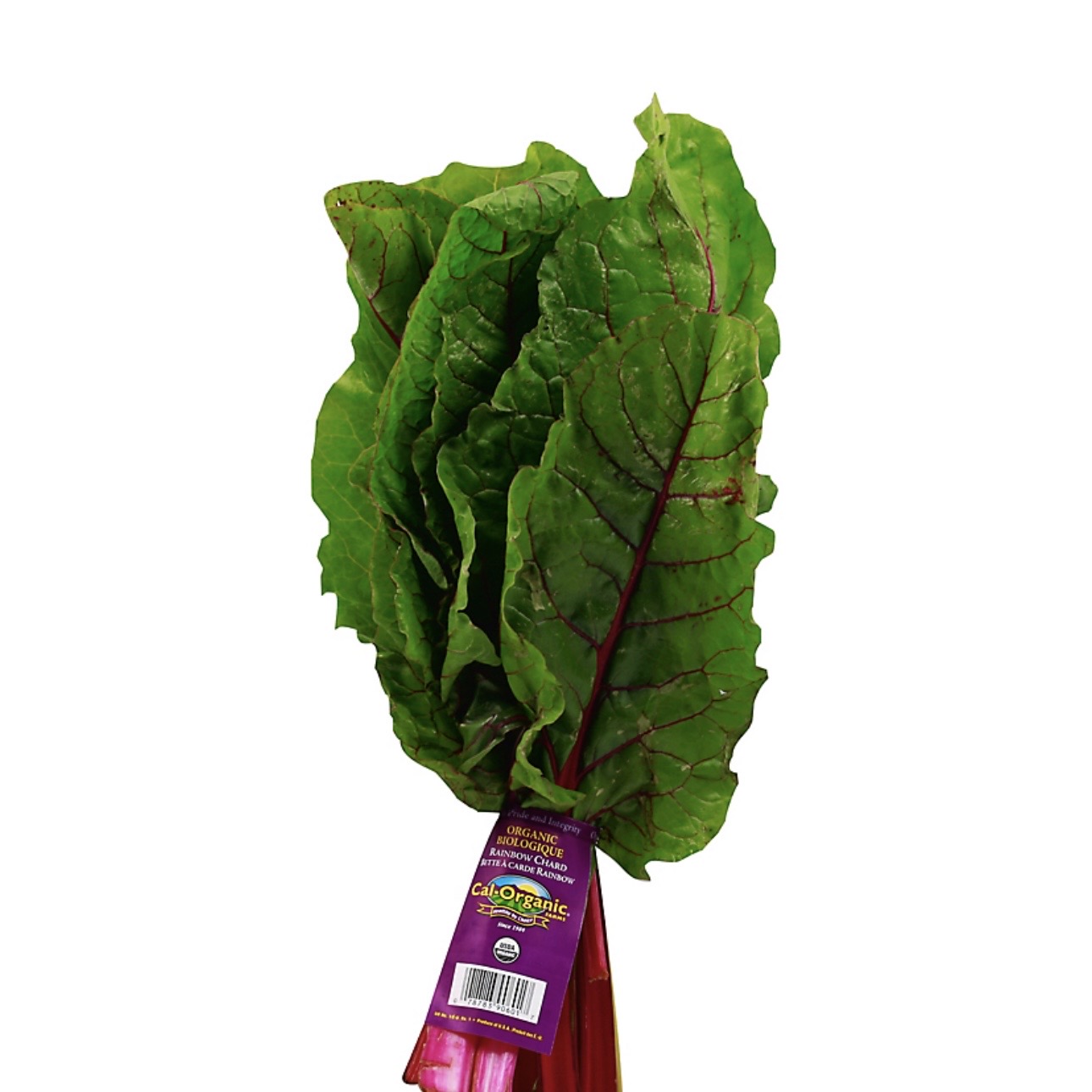 <p>Organic rainbow chard </p>