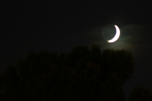 <p>Night</p>