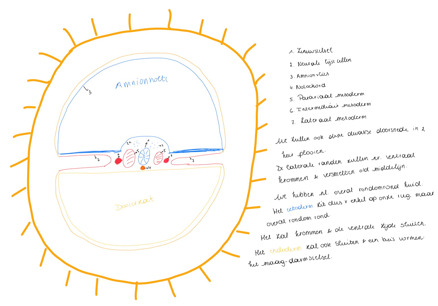 knowt flashcard image