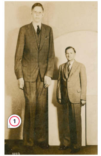 <p>gigantisms </p>
