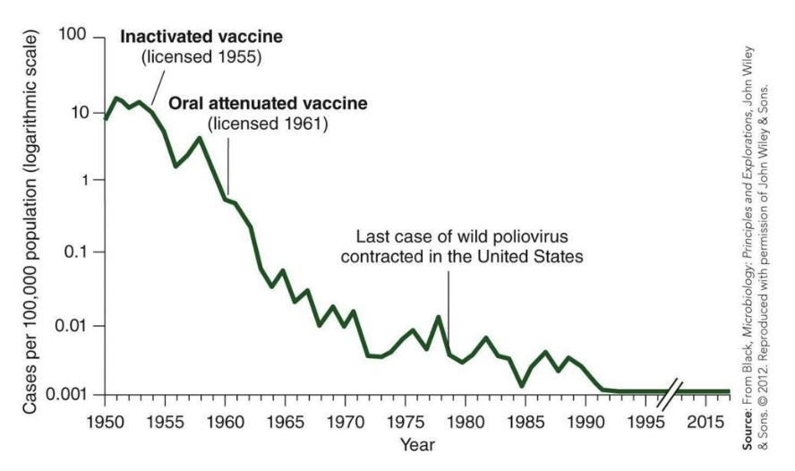 <ul><li><p>Inactivated polio vaccine (IPV, “Salk” vaccine) began being used in 1955.</p></li><li><p>Attenuated oral polio vaccine (OPV, “Sabin” vaccine) began being used in the 1960s.</p></li></ul><p></p>