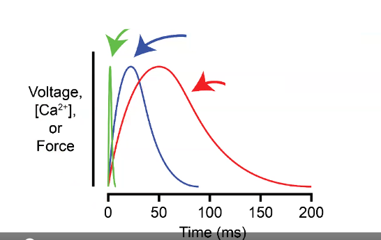 <p>Label each color as force, calcium, or voltage</p>