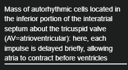 <p>Mass of autorhythmic cells </p>