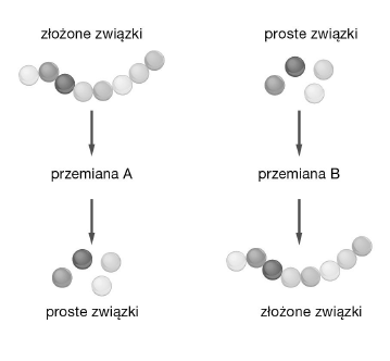 <p>GRUPA A</p><p>2. Na schematach przedstawiono dwa kierunki przemian metabolicznych.</p><p>a) Określ, która przemiana (A czy B) przedstawia przemianę kataboliczną. Odpowiedź uzasadnij jednym argumentem.</p><p>b) Określ, która z przemian (A czy B) wymaga dostarczenia energii.</p>