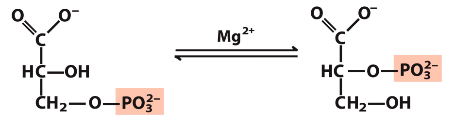 <p>What enzyme catalyzes this reaction? What are the intermediates, if any?</p>