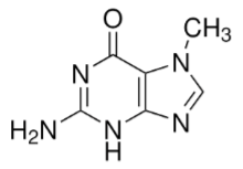 <p>d) 7-methylguanine</p>