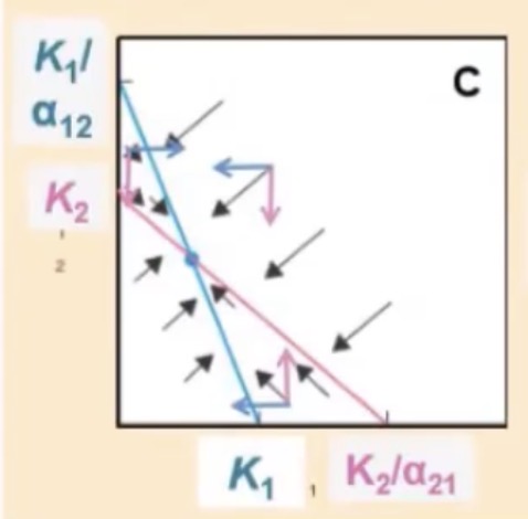 <p>What outcome of the Lotka-Volterra Model is represented in this graph, what does this mean for competition?</p>