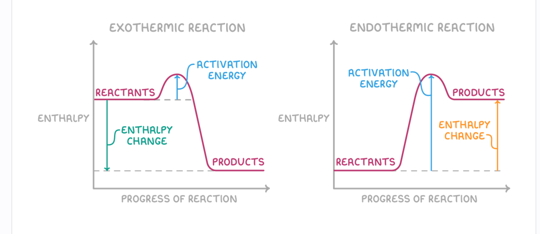 <p>Activation energy is the minimum energy needed for a reaction to occur </p><p>Exo - reactants have higher energy than products </p><p>chants have lower energy than products </p>