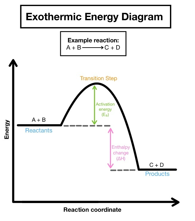 <p>Exothermic Reactions</p>