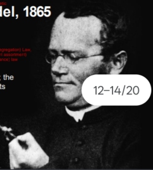 <p>Gregor Mendel, 1865</p>