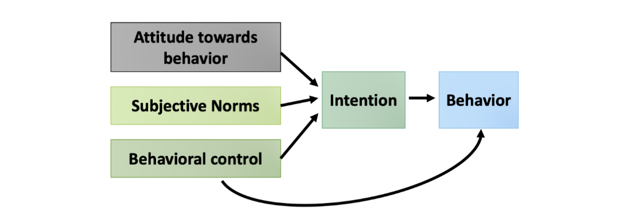 <p>Behavior is shaped by attitudes, subjective norms, and behavioral control, which lead to intentions, and then behavior. Behavioral control also has a direct influence on behavior.</p>