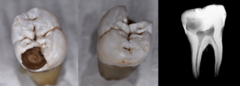 <p>What is the classification?</p>