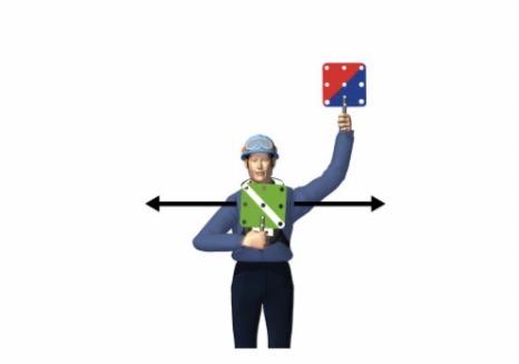 term image