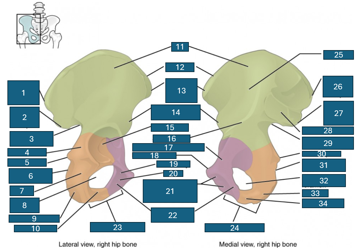 <p>What is 12 referring to?</p>