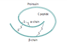 <p>form between the sulfur atoms of two cysteine residues; form through the removal of two hydrogen ions (oxidation) and can be broken only by the addition of two hydrogens (reduction)</p>