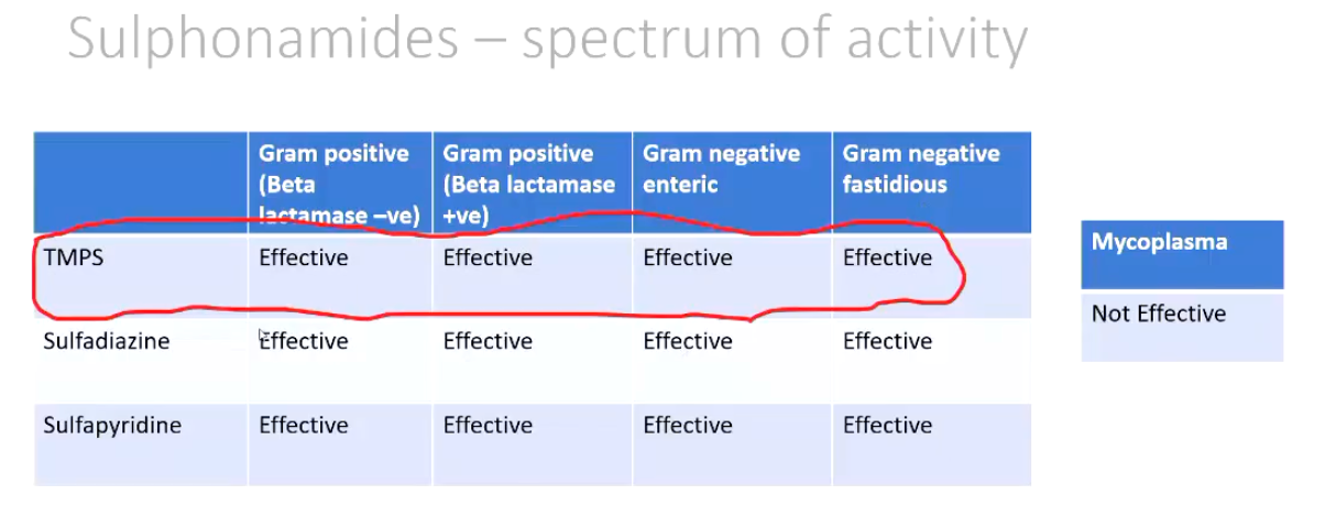 <p><strong>Sulphonamides</strong></p><p>• Inhibit bacterial folate synthesis</p><p>• Broad spectrum</p><p>• Bacteriostatic (may be cidal in some instances)</p><p>• Good gut penetration</p><p>• Some protozoal activity</p><p>• Inhibited by pus</p><p></p><p><strong><u>Spectrum of Activity</u></strong></p><ul><li><p>Image</p></li></ul><p></p>