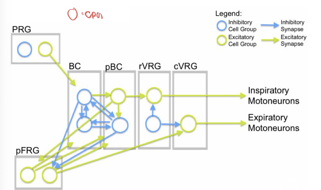 <p>what is this diagram abt </p>