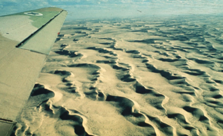 <p>What kind of dune is this?</p>