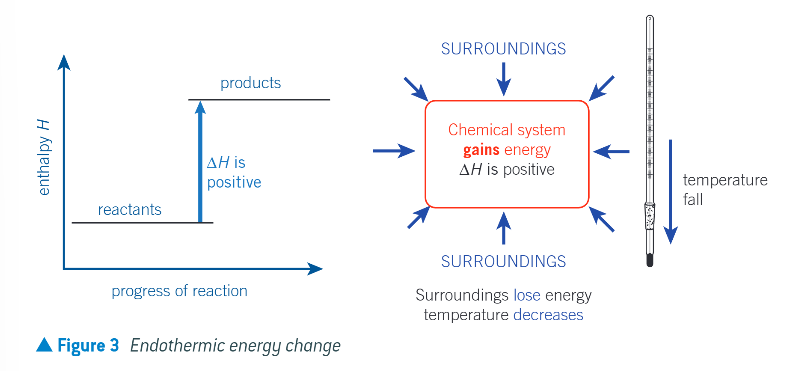 <ul><li><p>the chemical system takes in heat energy from the surroundings</p></li><li><p>any energy gain by the chemical system is balanced by the same energy loss by the surroundings</p></li><li><p>enthalpy change is positive</p></li><li><p>the temp of the surroundings decreases as they lose energy</p></li></ul><p></p>