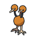 <p>Doduo</p>