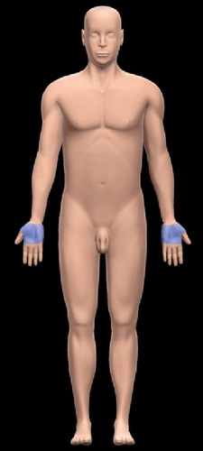 <p>front of hand </p>