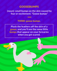 <p>(n) the bumps created by hairs standing up on the skin in response to cold, fear, etc.</p>