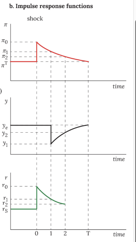 <p>open economy positive inflation IRFs </p>