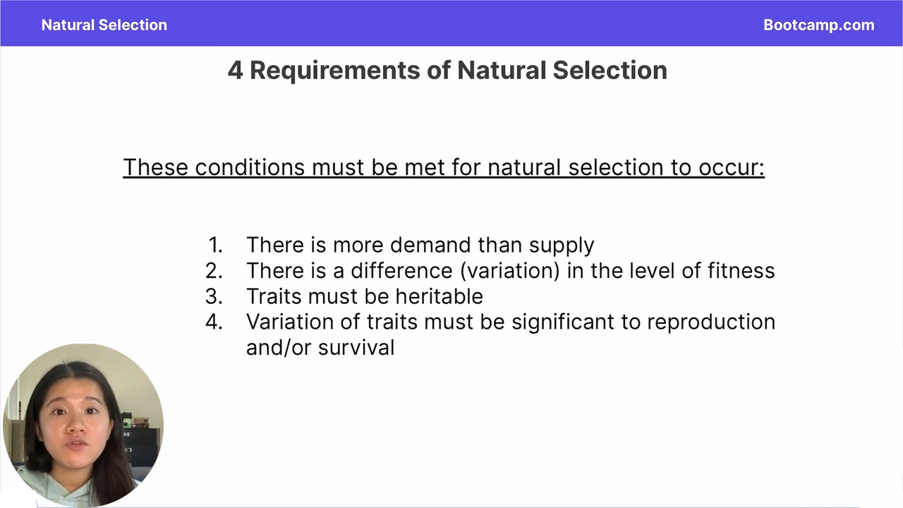 <ol><li><p>more demand than supply</p></li><li><p>difference in fitness </p></li><li><p>heritable traits</p></li><li><p>Variation of traits must be significant to reproduction and/or survival </p></li></ol><p></p>